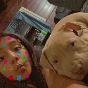 Meet your Posher, Lynette